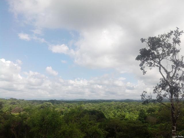 Tumbes National Reserve